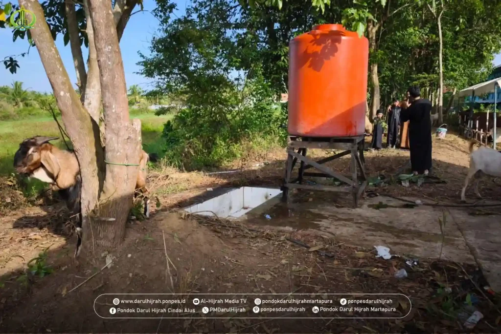 الله اكبر ولله الحمد kelengkapan penyembelihan Qurban di Pondok Darul Hijrah Cindai Alus Martapura Kalsel